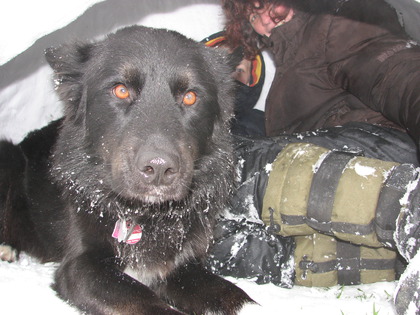 Familientreffen im Iglu