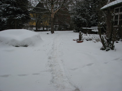 Der Weg Zur Lehmsenke I