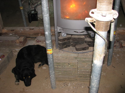 Basement-Hound is watching you