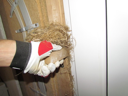 Stopfhanf wird mit einem Holzkeil eingearbeitet