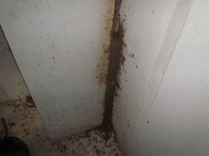 Schmale Lehmsteinscheiben mit 4cm breite wurden verlegt Schmale Lehmsteinscheiben mit 4cm breite wurden verlegt